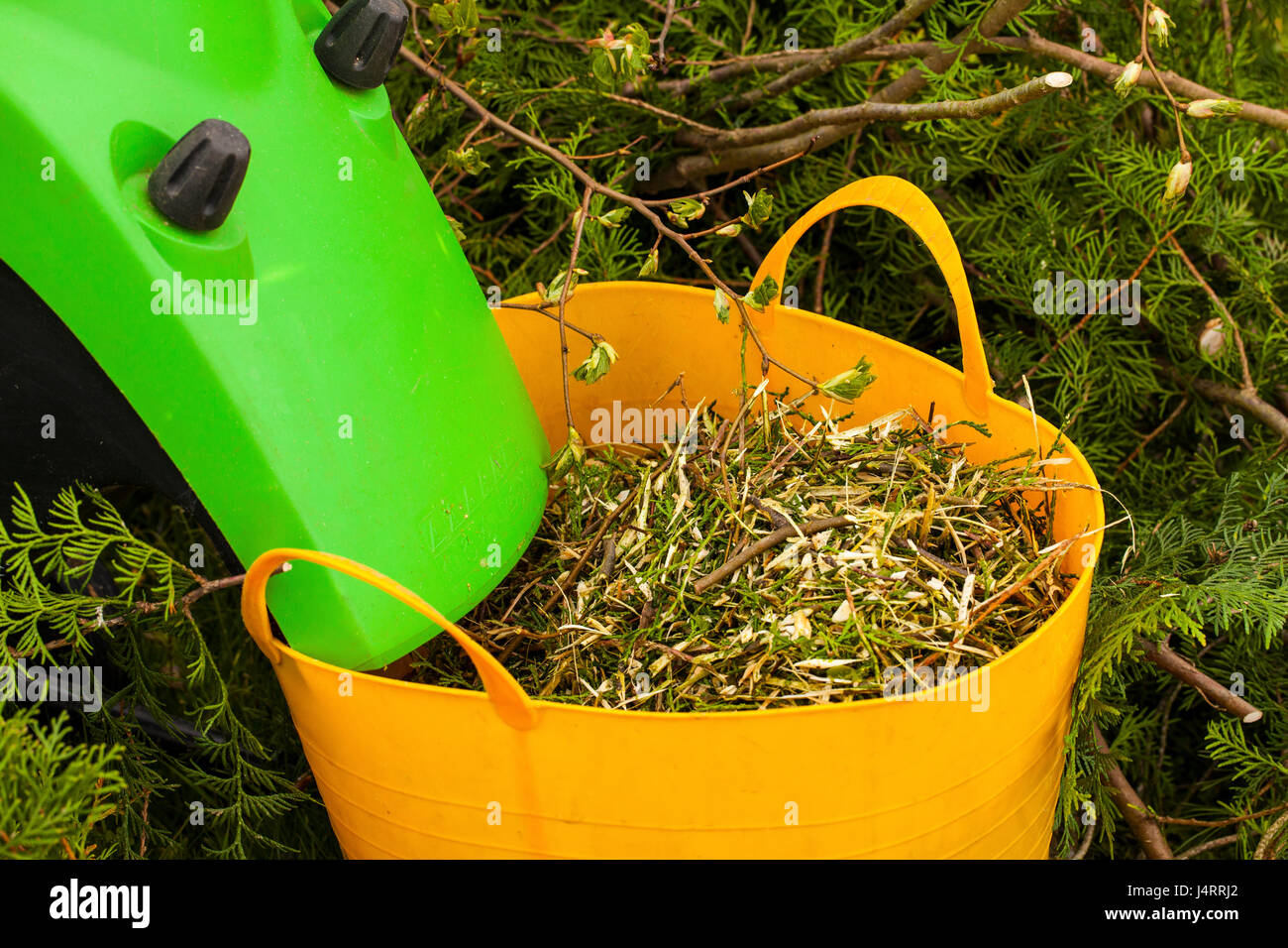 Electric garden shredder in a spring garden Stock Photo