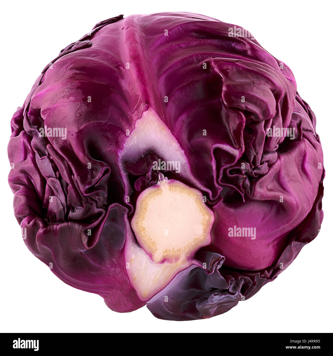 Isolated beautiful red savoy cabbage over white background Stock Photo ...