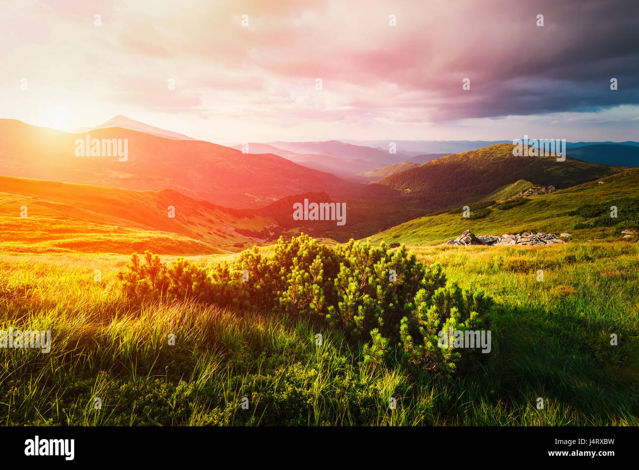 Mountain valley during sunset. Amazing nature scene glowing by sunlight. Located place: Carpathians, Ukraine, Europe Stock Photo