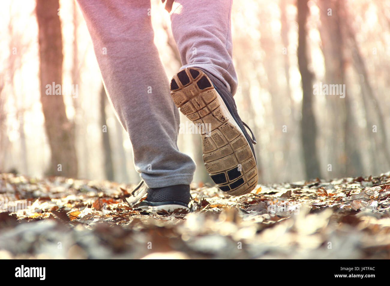 Man running in forest Stock Photo - Alamy