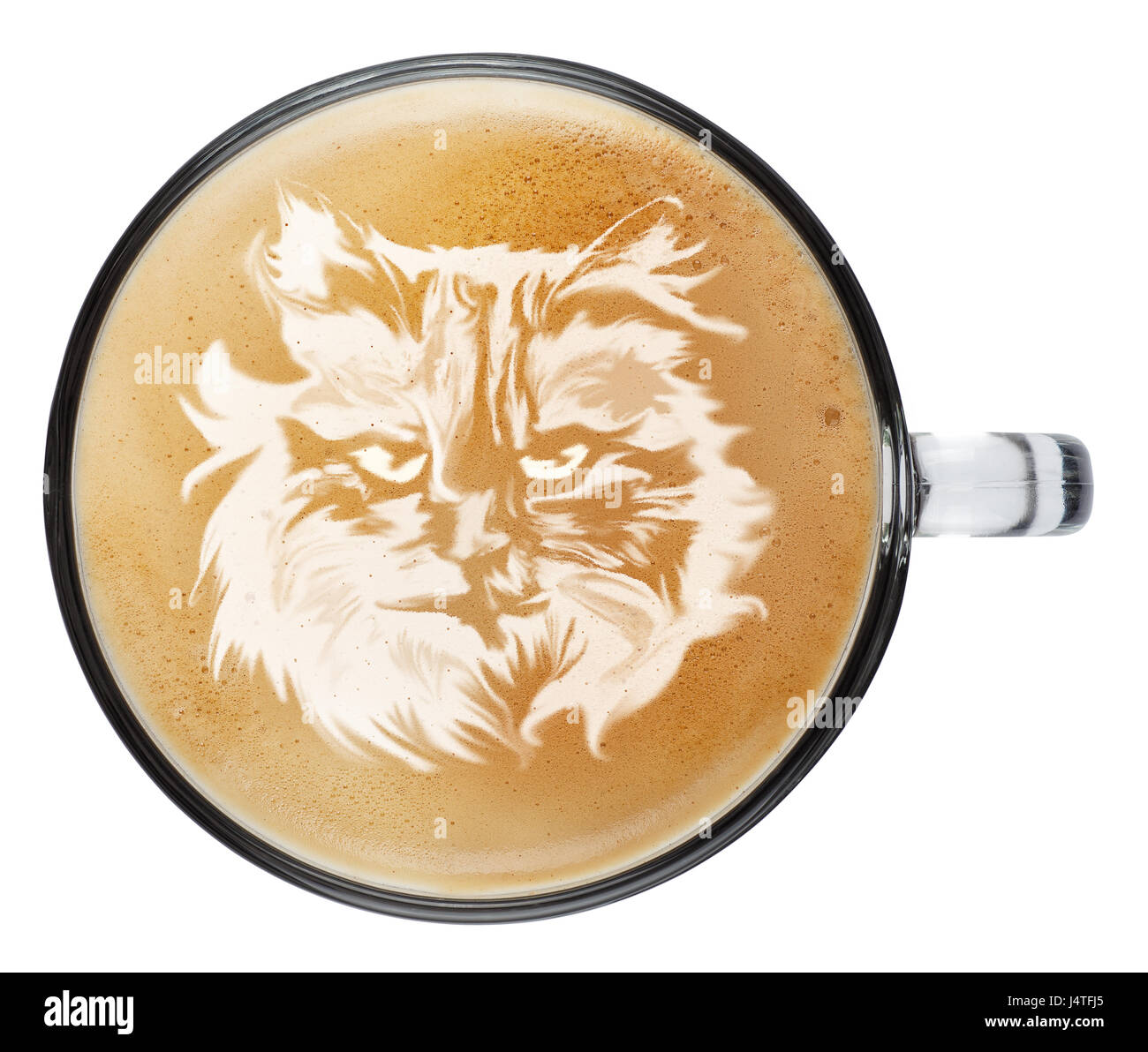 coffee foam cat