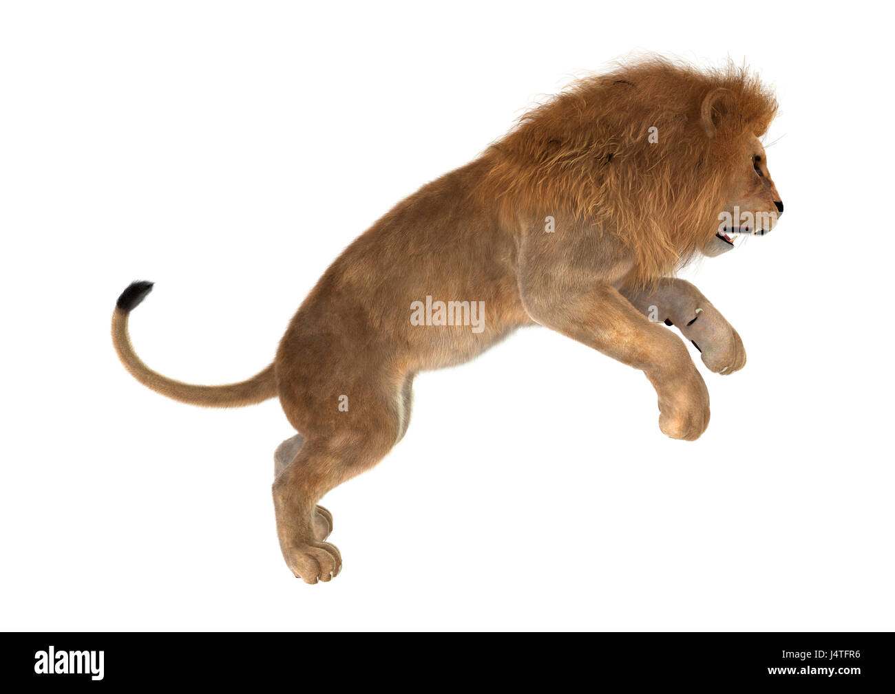 3D rendering of a male lion jumping isolated on white background Stock  Photo - Alamy