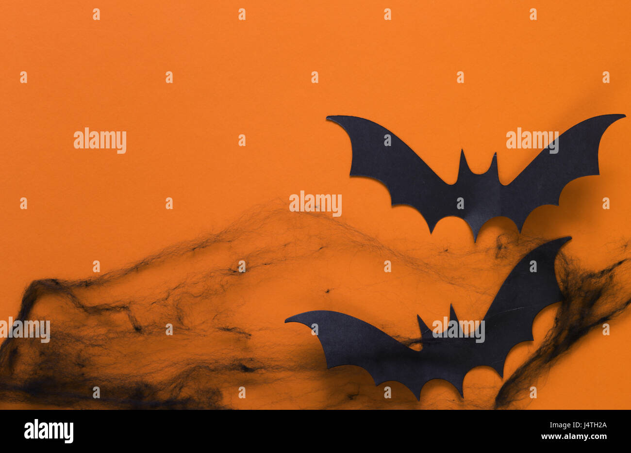 Halloween Decorations Black Spider Web And Bats Stock Photo