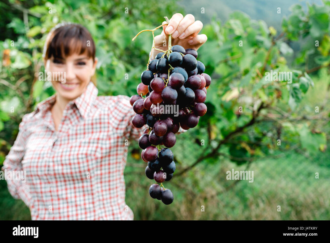 Happy female farmer in the vineyard holding grapes and smiling at ...