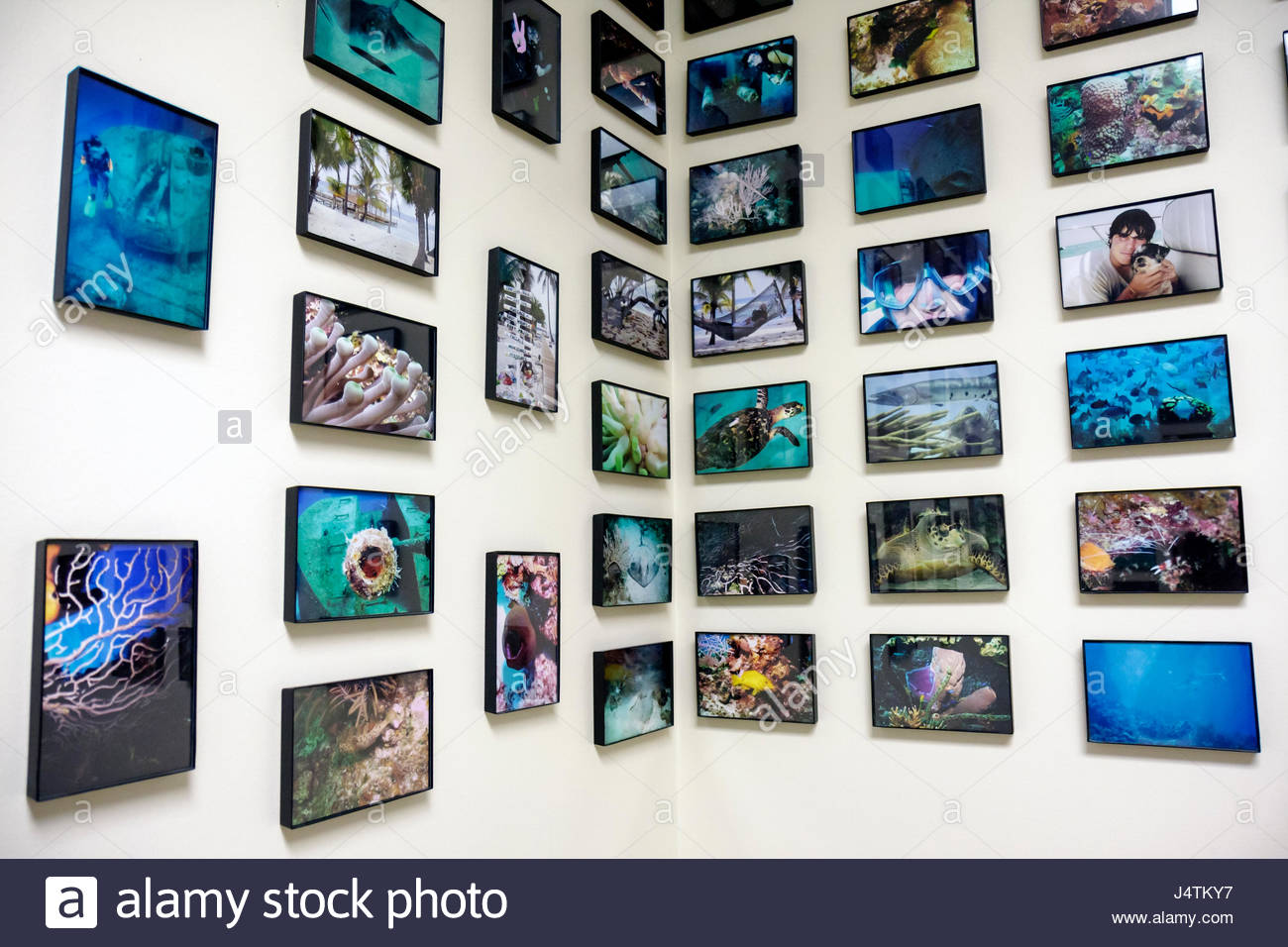 Mount Sinai Hospital Miami Stock Photos & Mount Sinai ...