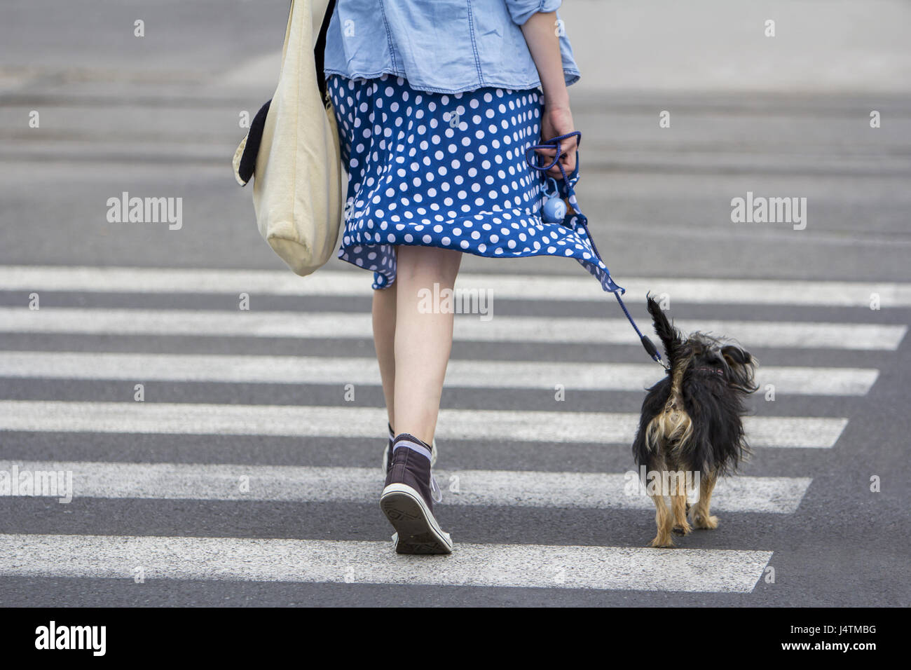 Young woman with dog walking in the city Stock Photo