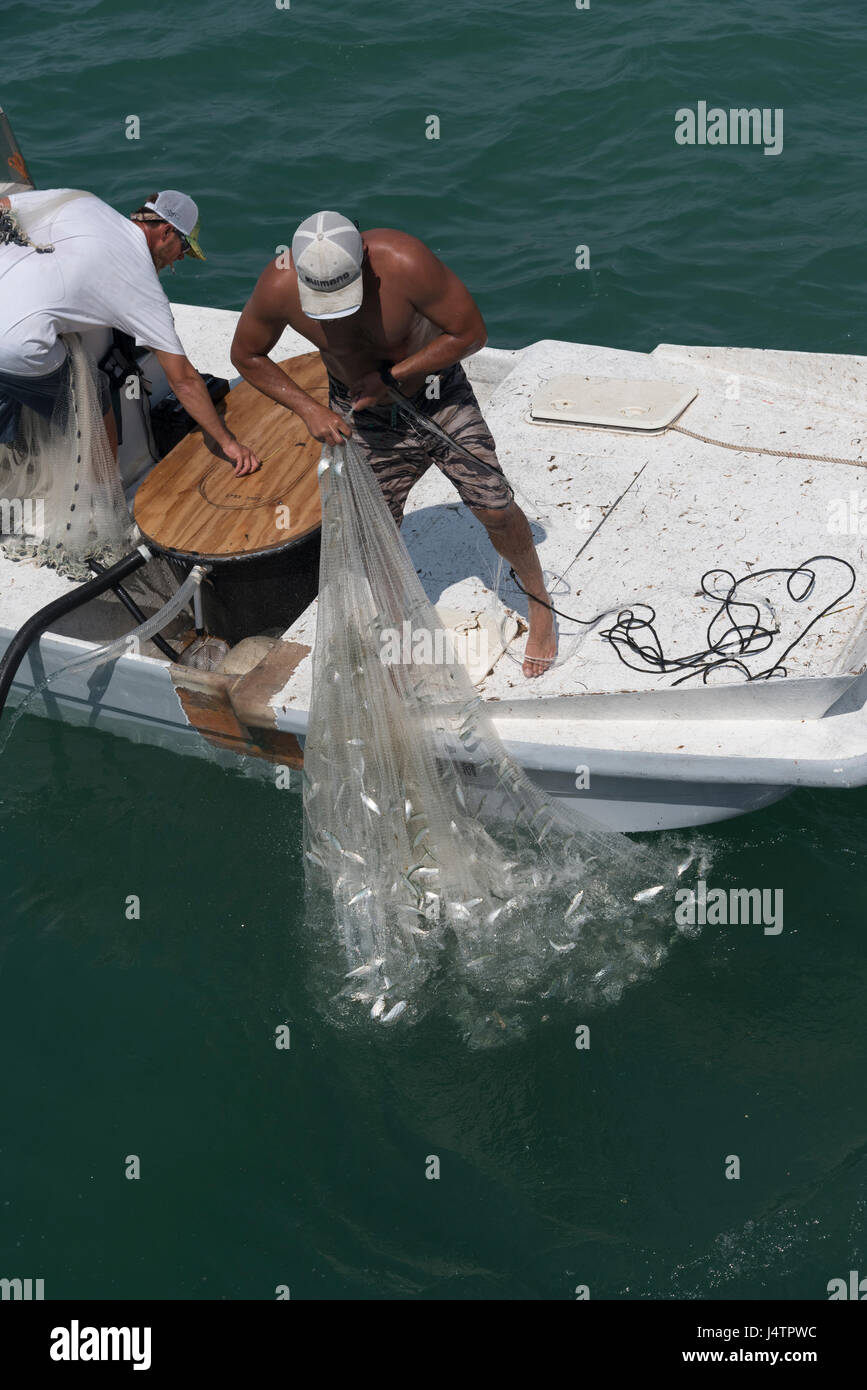 Man fishing net hi-res stock photography and images - Page 5 - Alamy
