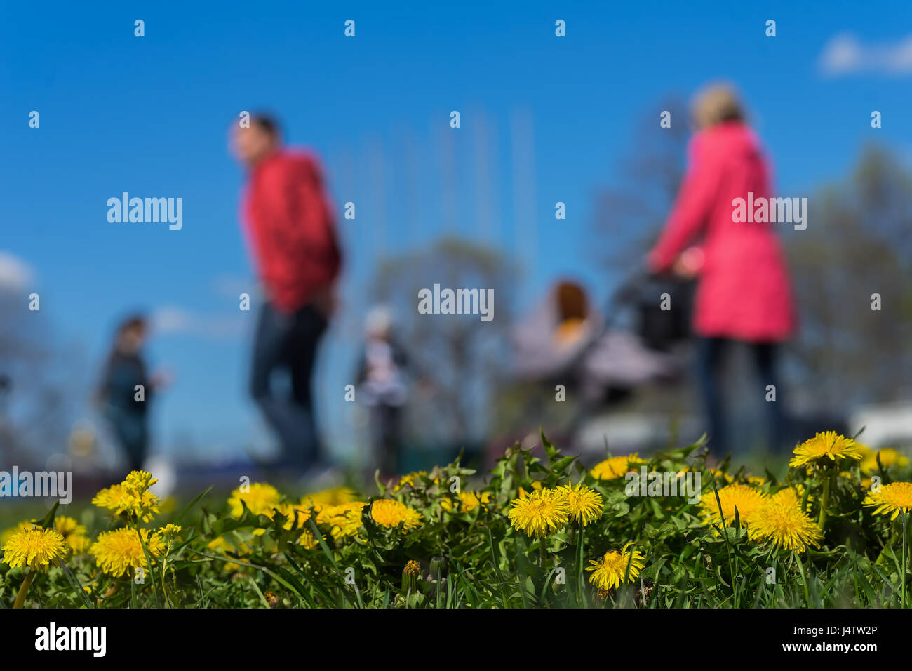 Blurred Background Of Young Family With Kids Pram In Park Spring