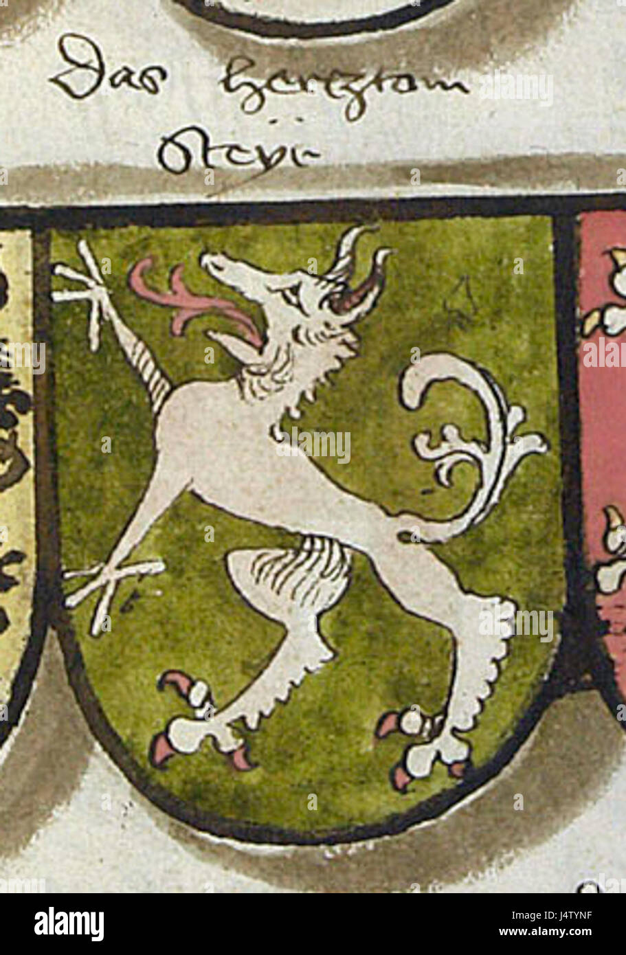 Wappen Herzogtum Steyr c1495 Stock Photo