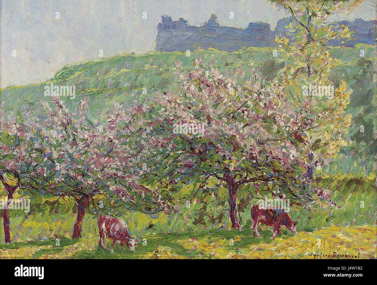Wynford Dewhurst Apple Blossom time in Arc la Bataille Stock Photo