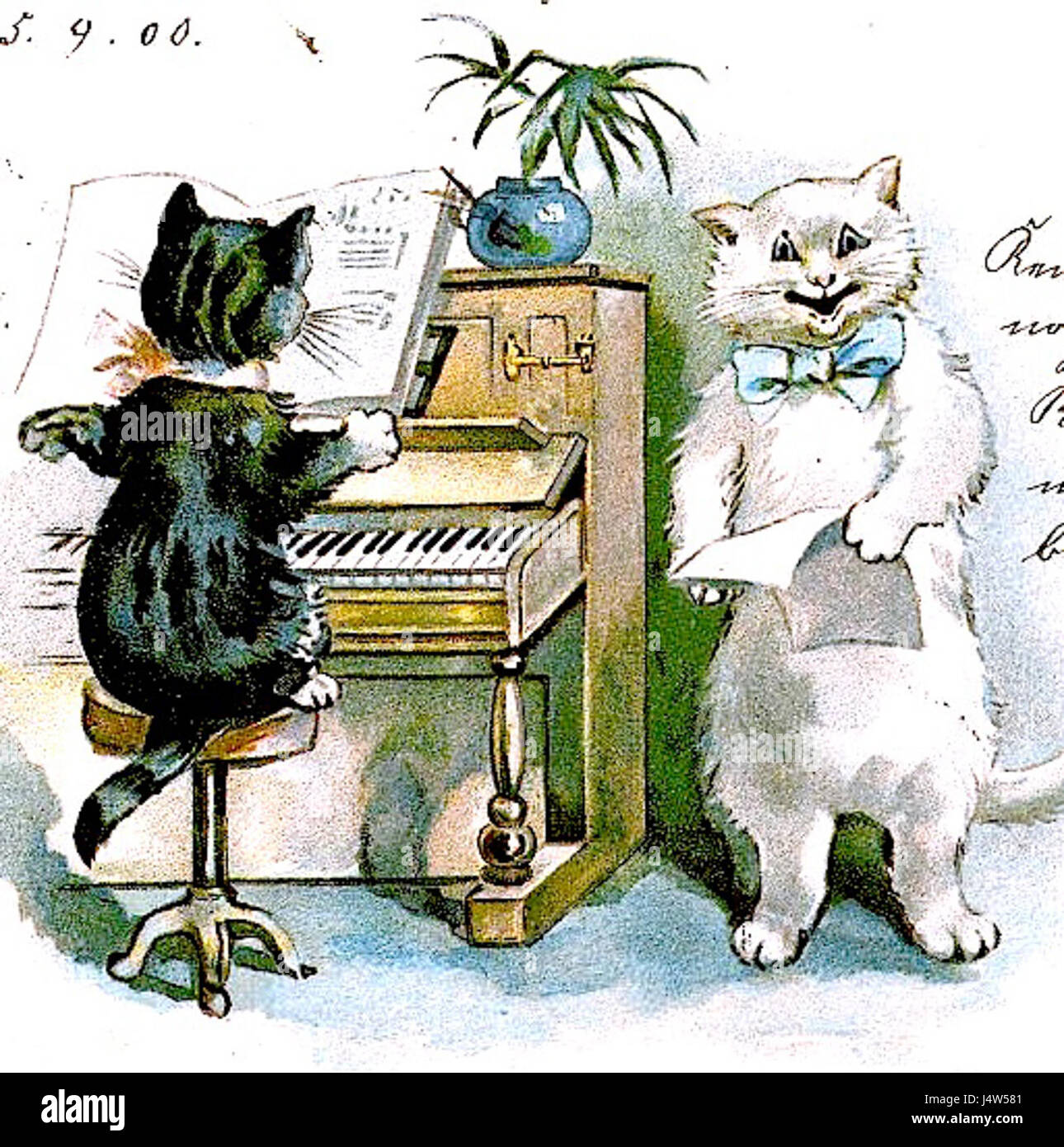 Котята кошки поют. Кот за роялем. Кот на пианино. Кошка за пианино. Коты на фортепиано.