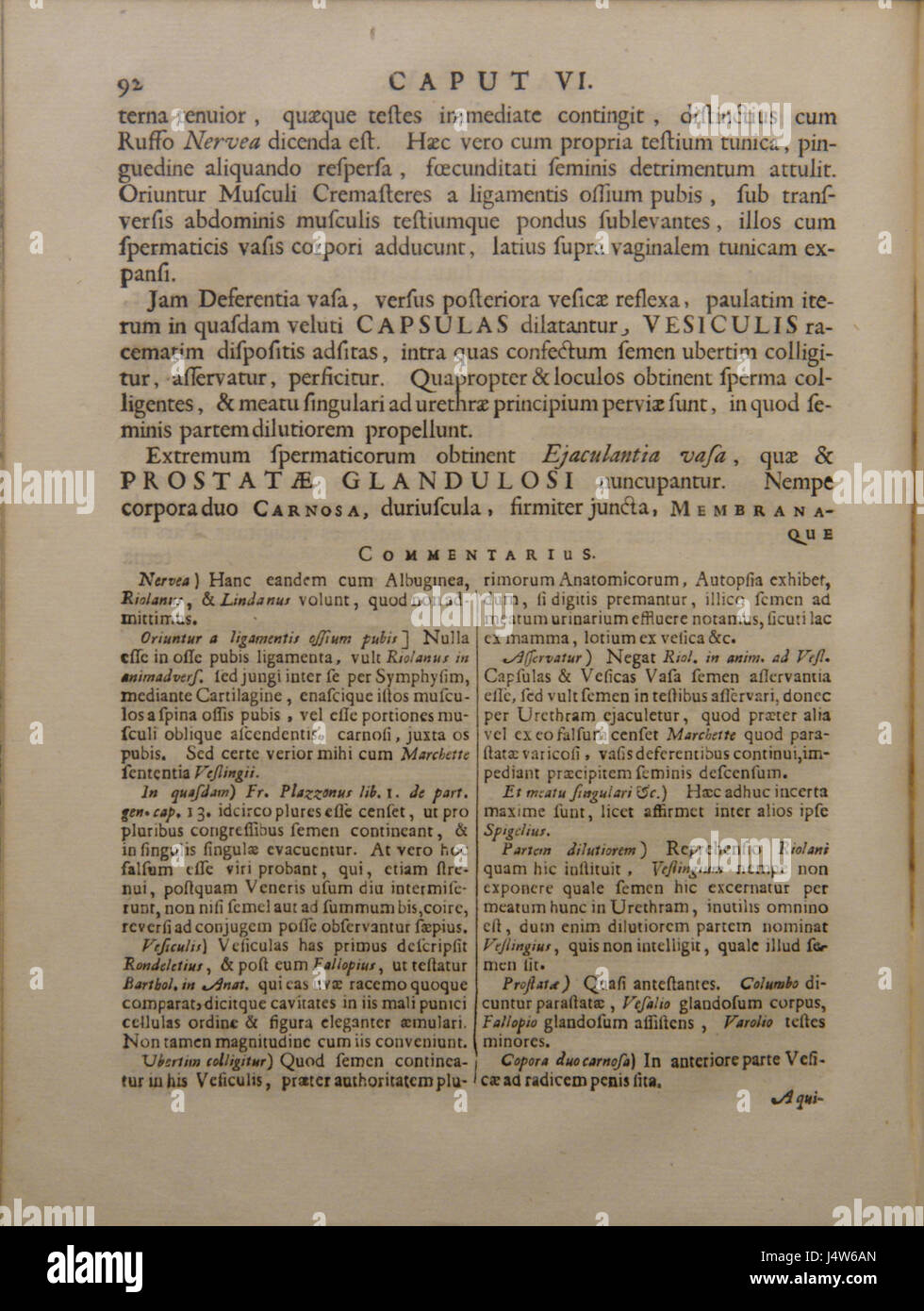 Scriptum Anatomy A reference to *Syntagma Anatomicum* by Vesling, a work on human ...