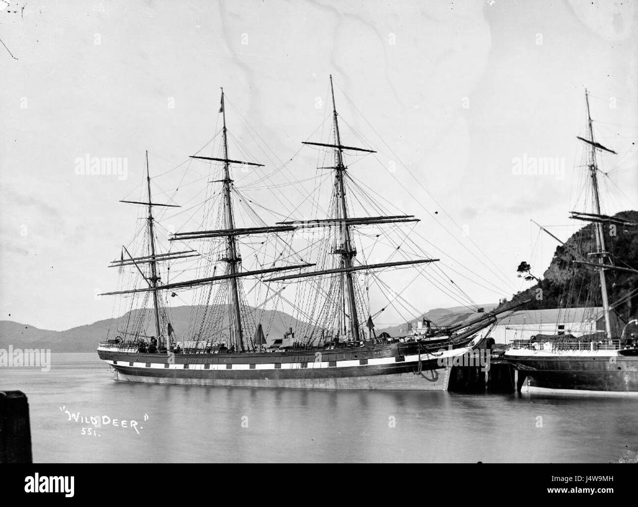 Wild Deer (ship, 1863) natlib.nz 272699 Stock Photo - Alamy