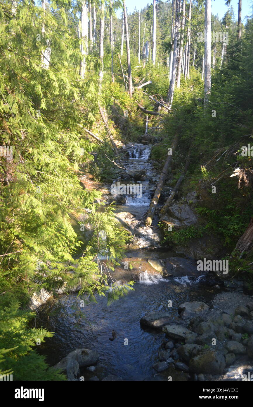 Cascading creek Stock Photo