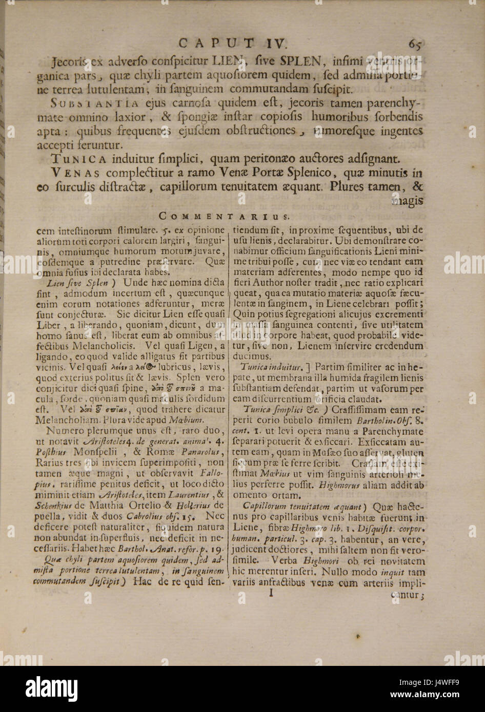Scriptum Anatomy An image from the 'Syntagma anatomicum,' a historical anatomy text by ...