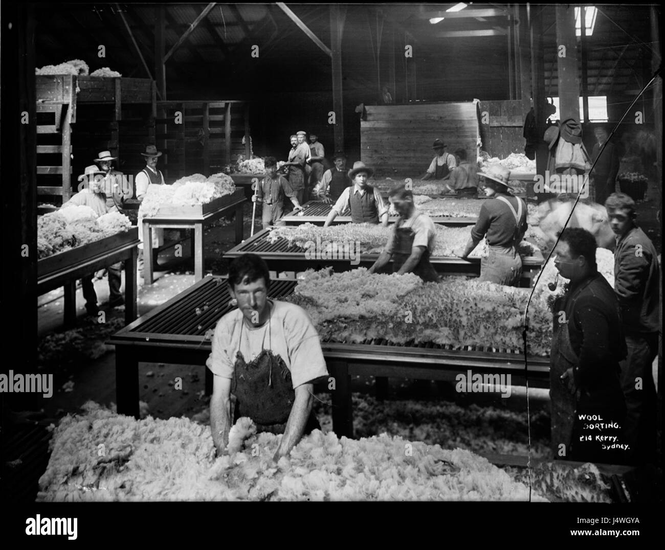 Wool sorting from The Powerhouse Museum Collection Stock Photo