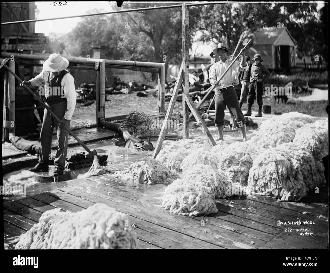 Washing wool from The Powerhouse Museum Collection Stock Photo
