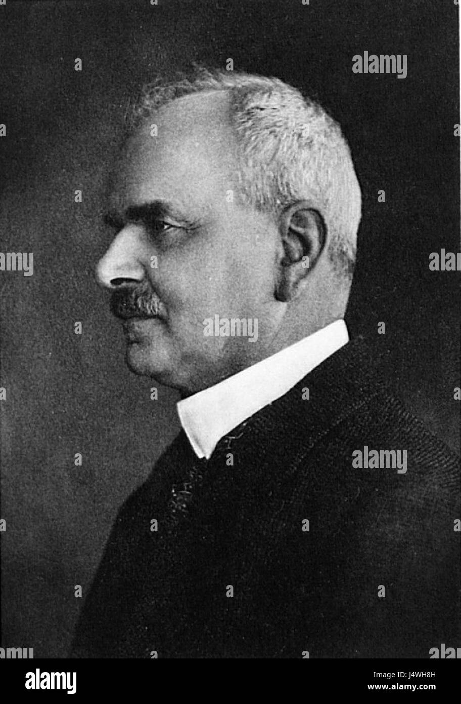 Voit 212 Wilhelm Meinardus Stock Photo