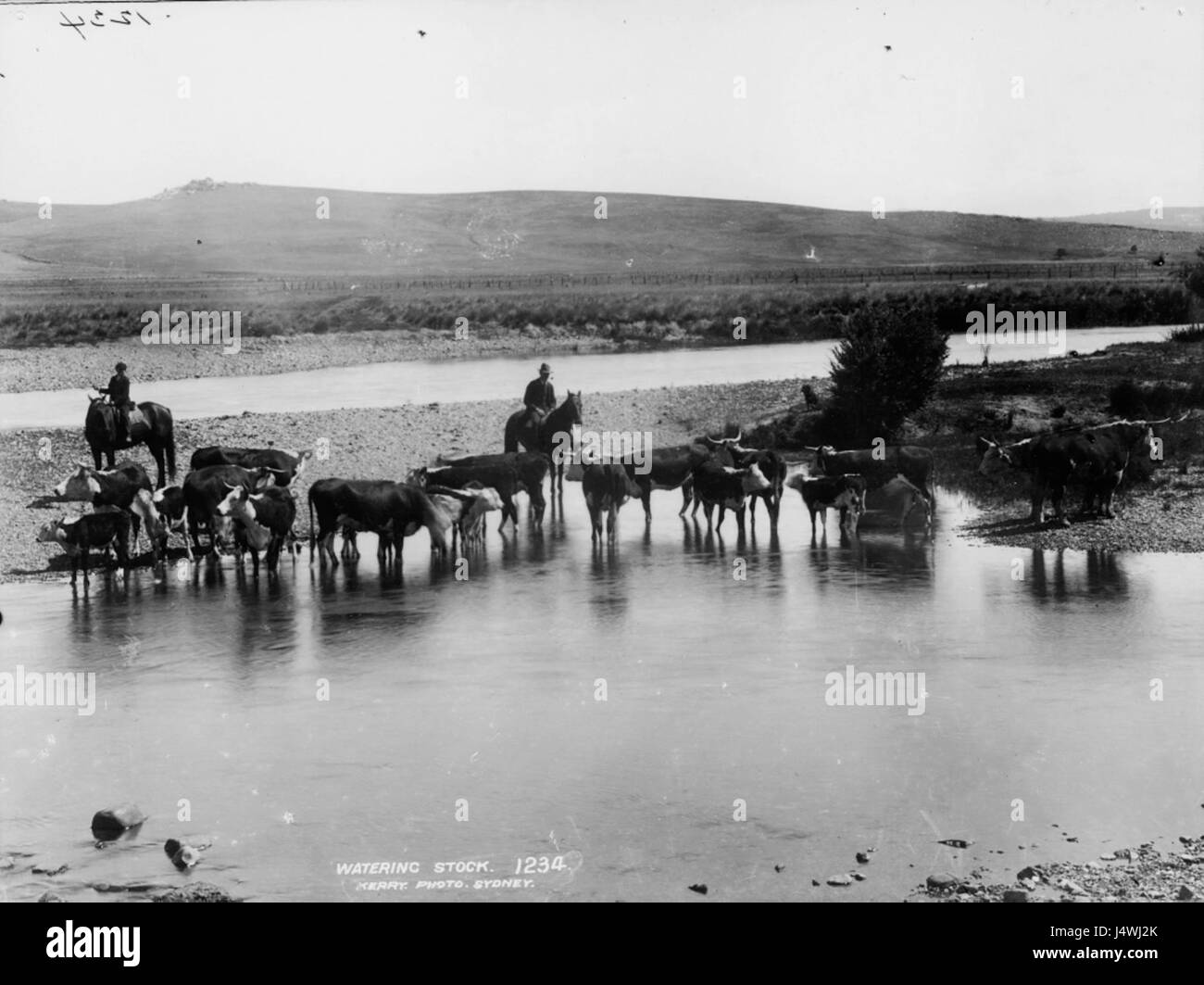 Watering stock from The Powerhouse Museum Collection Stock Photo