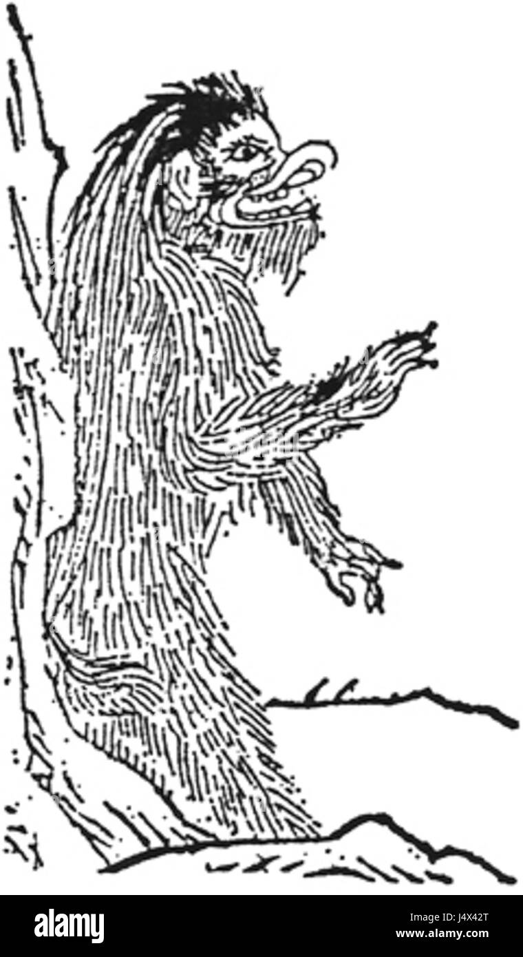 The 'Wakan Sansai Zue' is a Japanese illustrated guide, detailing plants, animals, and natural phenomena, with 'Hihi' referring to a depiction of a mythical creature in traditional Japanese art. Stock Photo