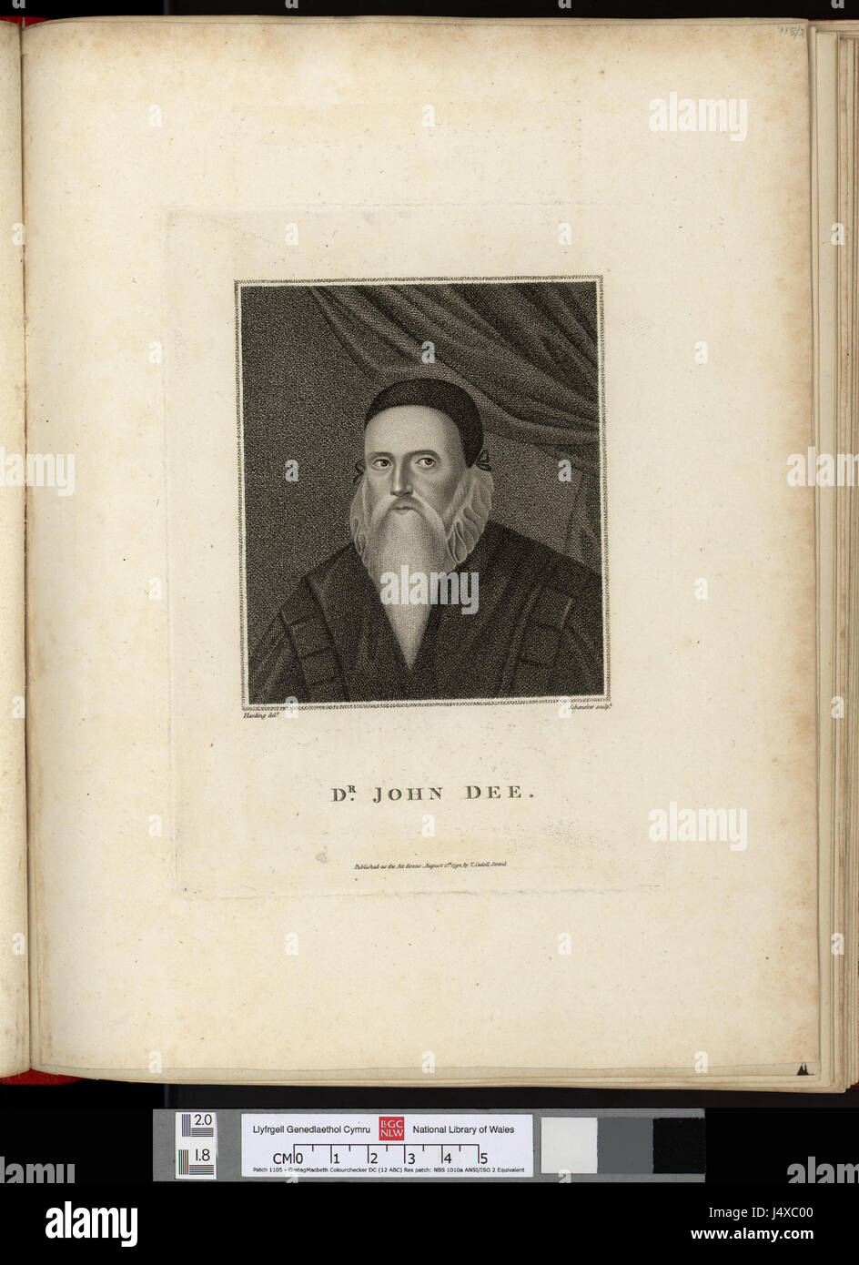Gravure Ancienne 1777 - Faucon Par Thomas Pennant - Édition Originale Coloriée Main - Quarto