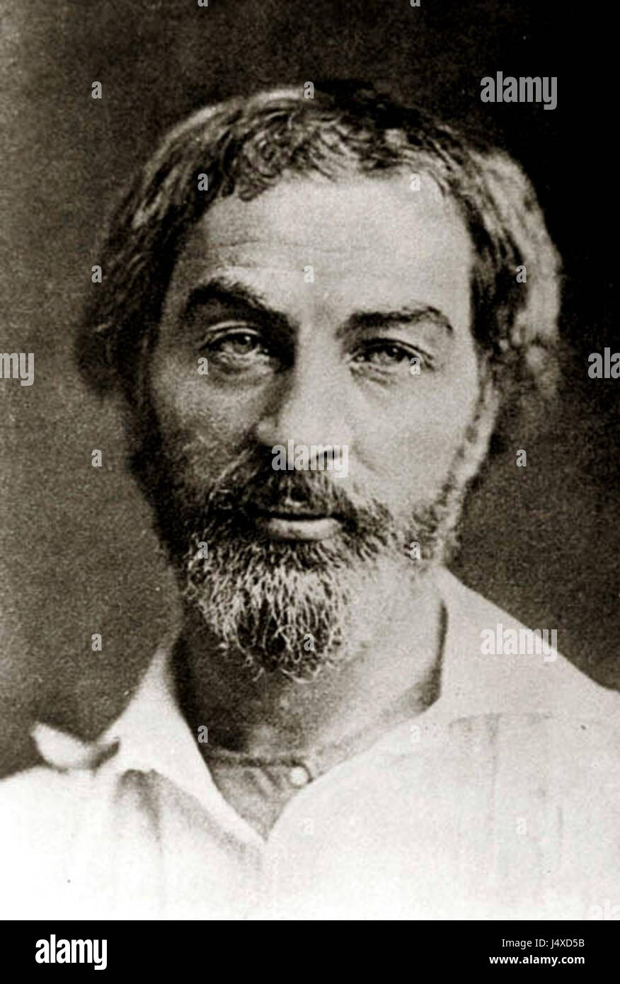 Walt Whitman 1854 Stock Photo