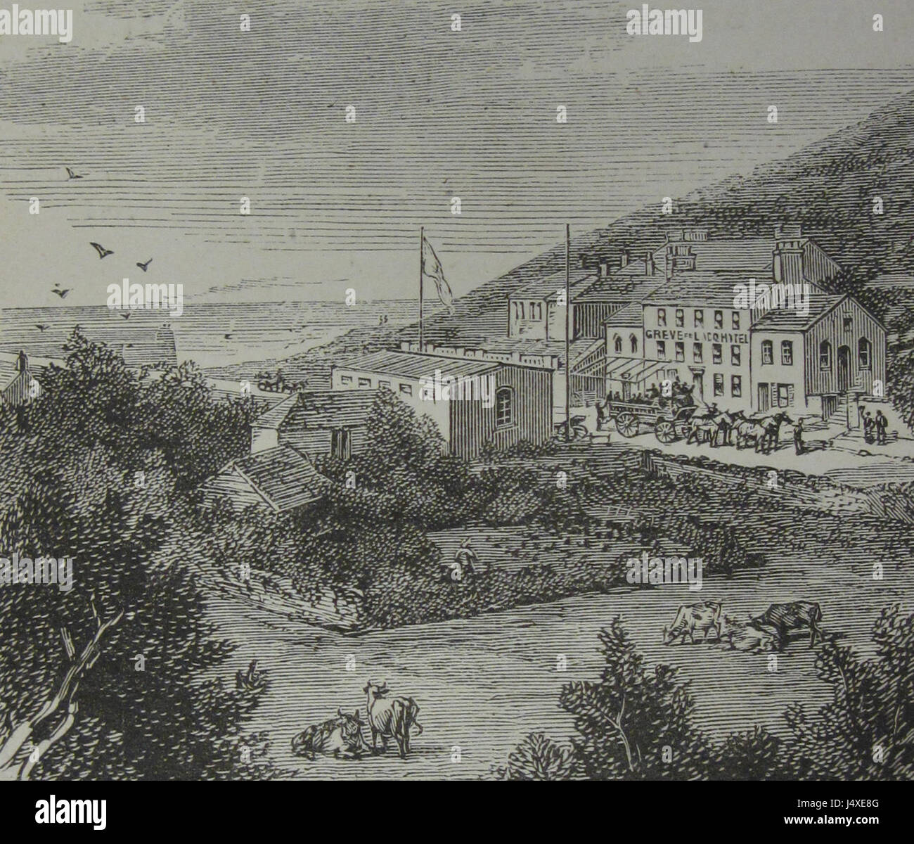 Ward Lock's Illustrated Guide to, and Popular History of the Channel ...