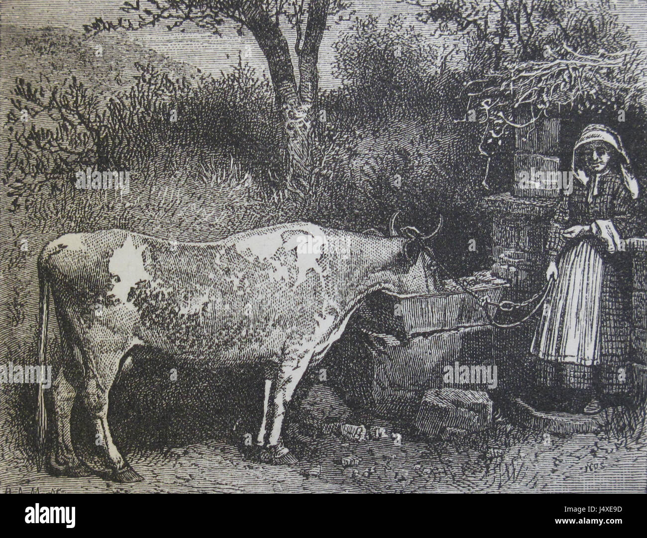 Ward Lock's Illustrated Guide from 1882 offers a detailed history of ...