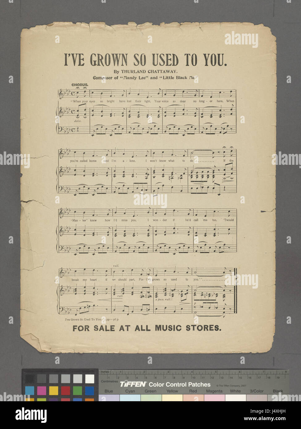 When the blue sky turns to gold (NYPL Hades 1935995 2001302) Stock Photo