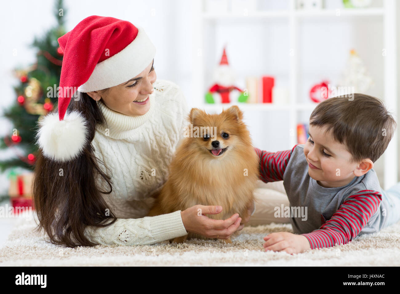 Happy best sale family pomeranian