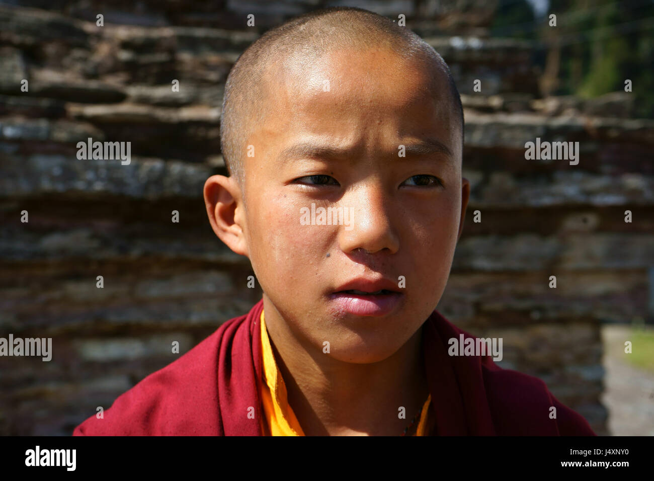 Teenage boy Buddhist monk, Rinchenpung monastery, Sikkim, India Stock Photo  - Alamy