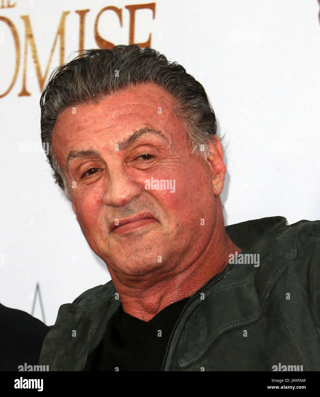 Premiere of Open Road Films' 'The Promise' - Arrivals  Featuring: Sylvester Stallone Where: Hollywood, California, United States When: 13 Apr 2017 Credit: FayesVision/WENN.com Stock Photo