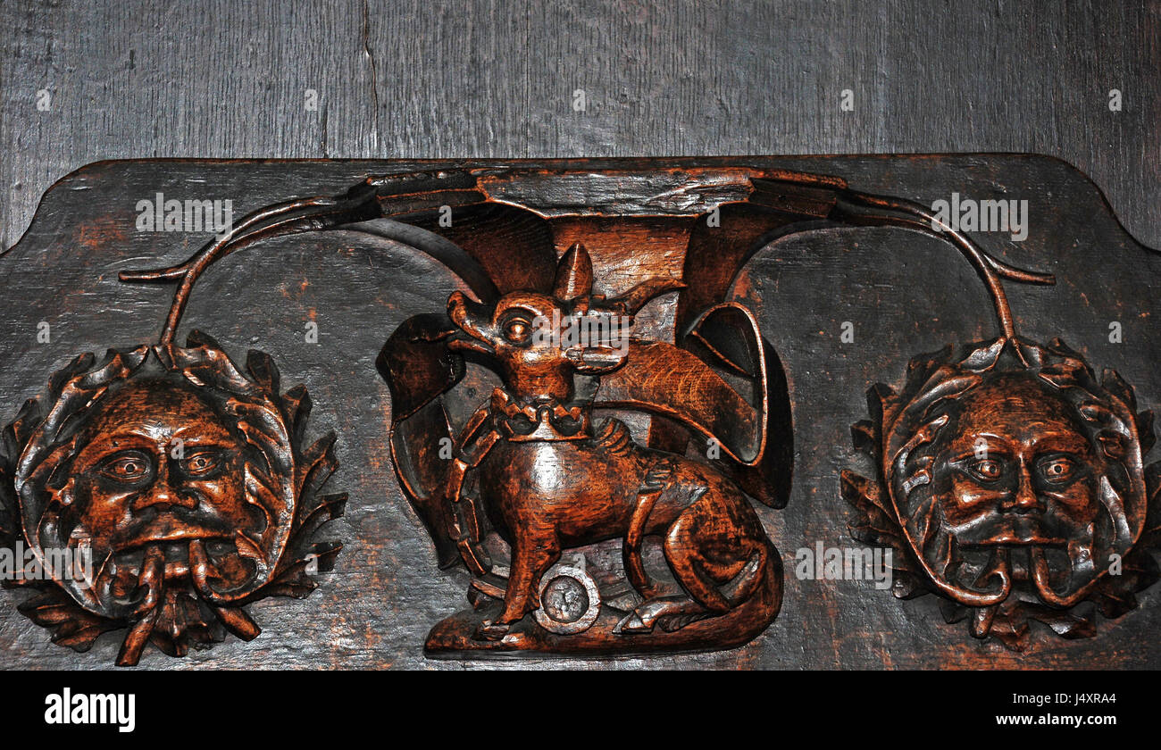 Misericord in the parish church of St Laurence, Ludlow. The Antelope Gorged and Chained. Personal badge of Henry VI. Jack-in-the-green. The green man. Stock Photo