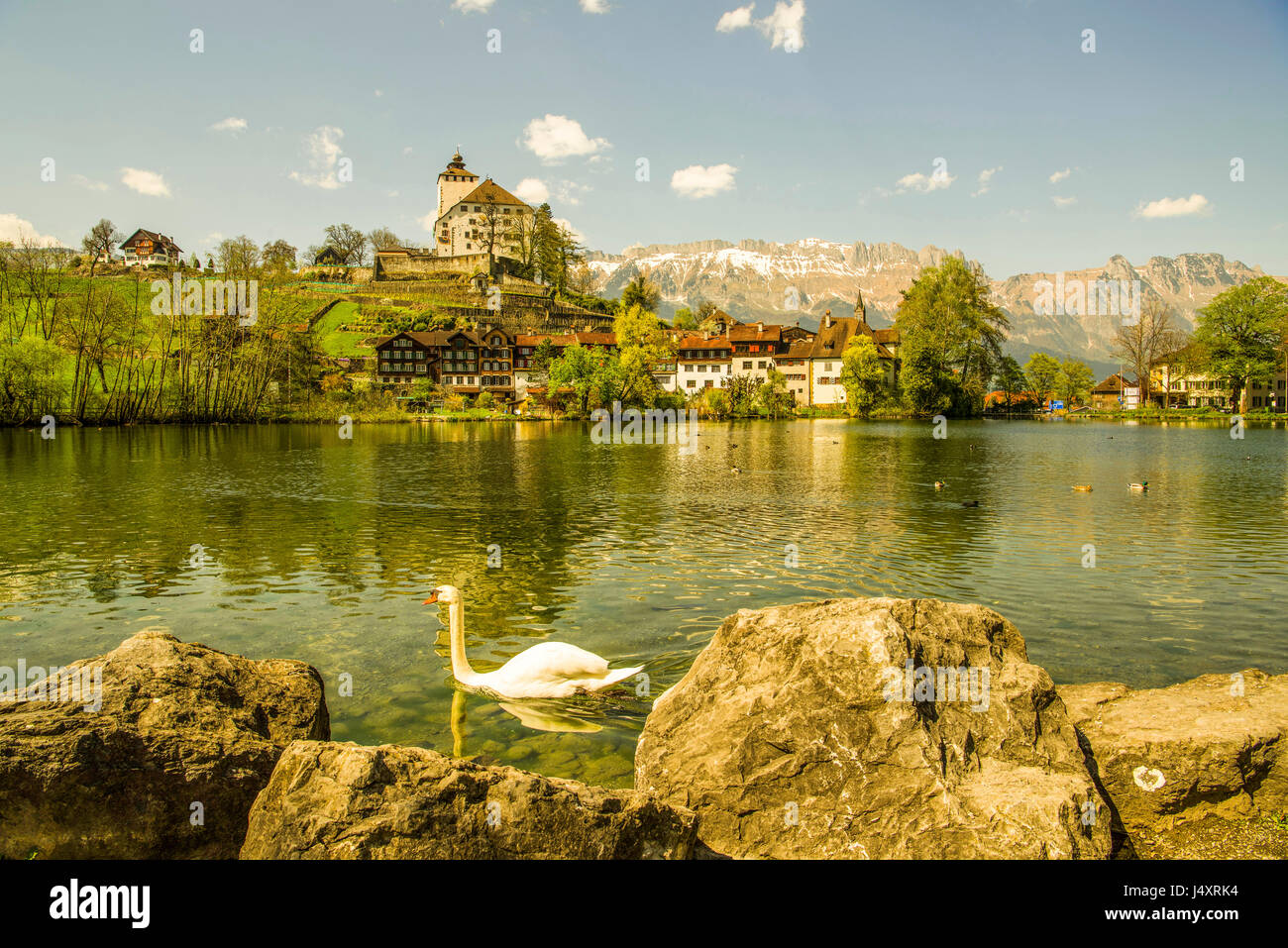 View of Werdenberg Castle seen from Buchs lake, Sankt Gallen canton, Switzerland. Derek Hudson / Alamy Stock Photo Stock Photo