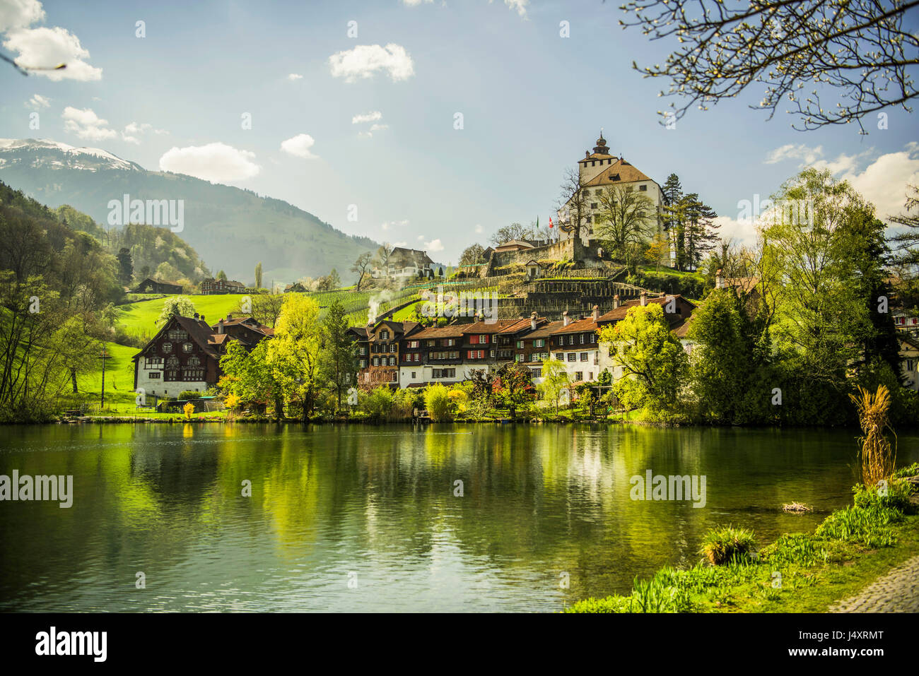 View of Werdenberg Castle seen from Buchs lake, Sankt Gallen canton, Switzerland. Derek Hudson / Alamy Stock Photo Stock Photo