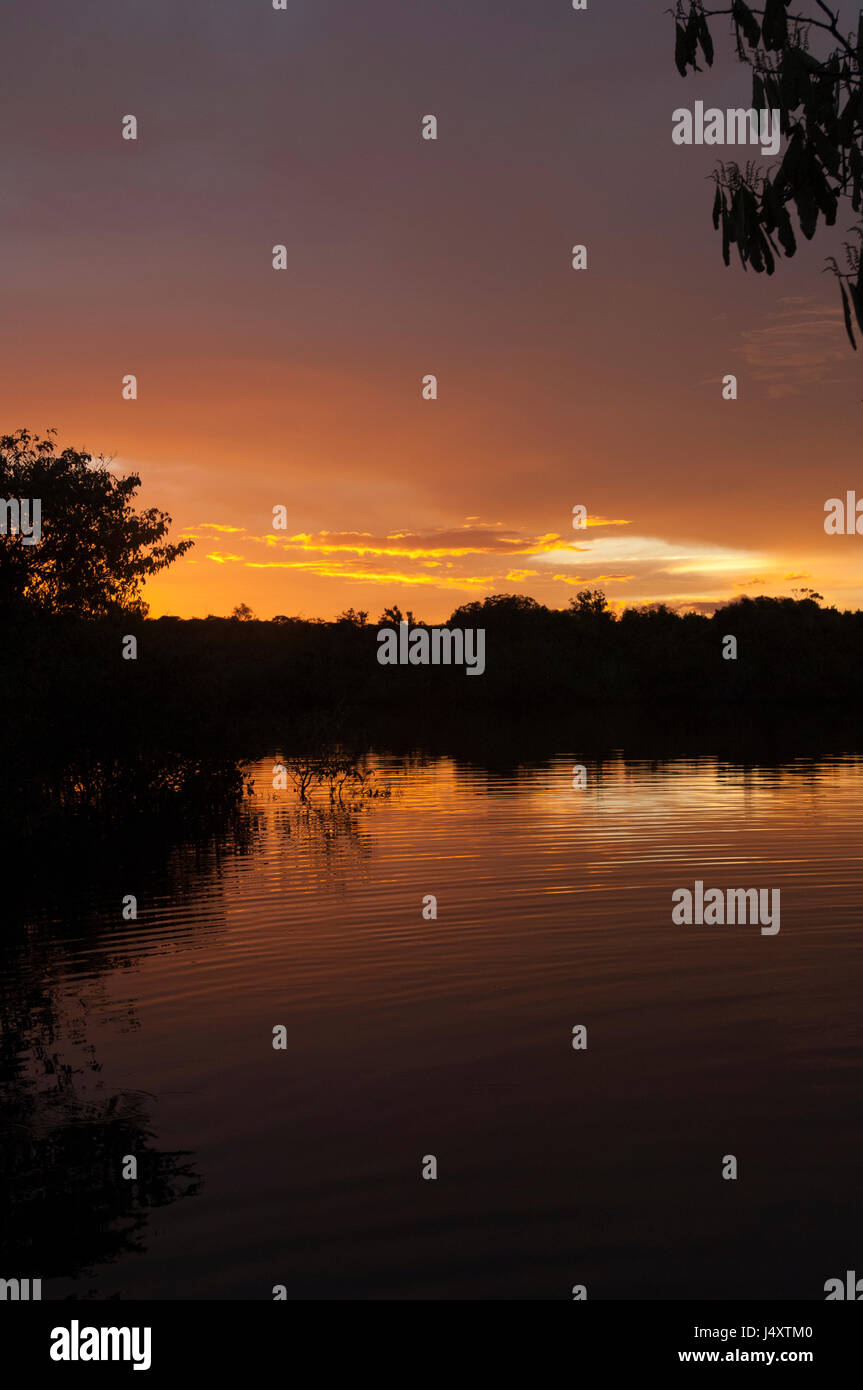Partially overcast orange sunset over the River Amazon with ripples in the water surface radiating out Stock Photo