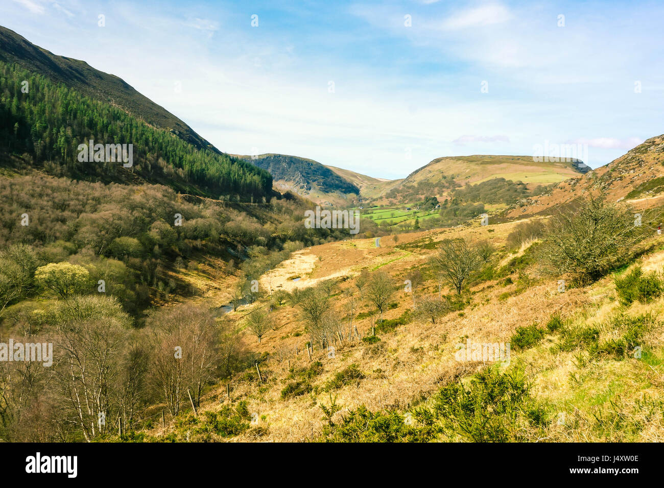 Gilfach nature reserve in the Cambrian mountain Radnorshire Wales UK ...