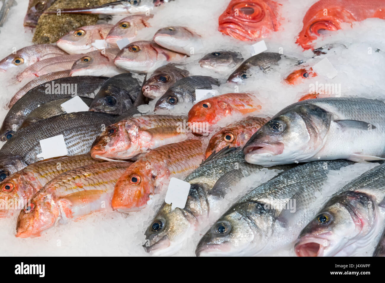 Fine fish on ice for sale at a market Stock Photo