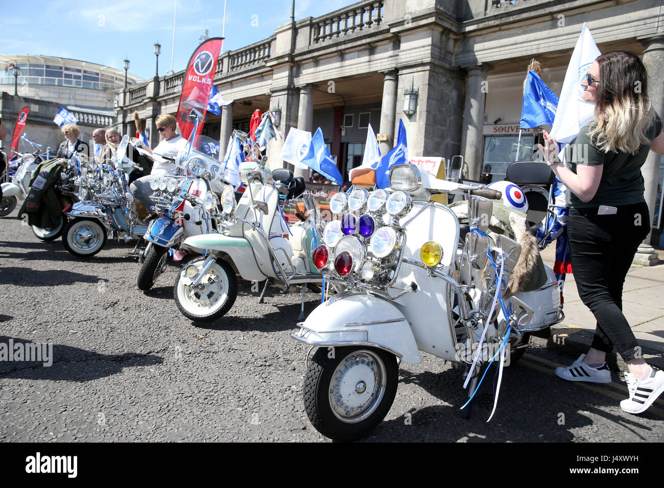 Mopeds decked out in Brighton and Hove Albion colours prior to the start of the bus parade through Brighton. Stock Photo