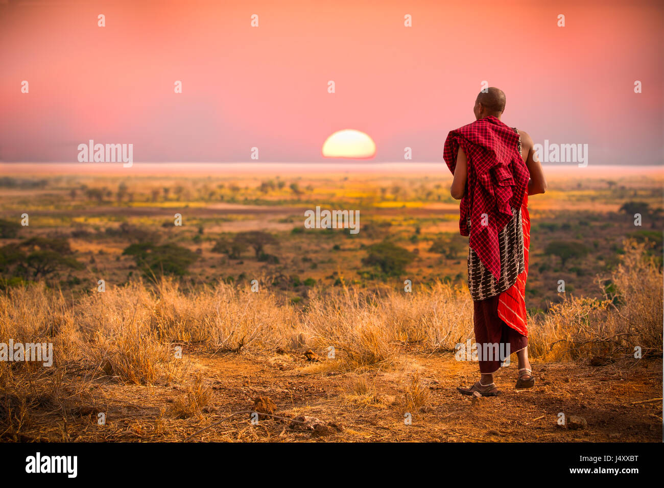 Massai man, wearing traditional blankets, overlooks Serengetti in Tanzania-Edit Stock Photo