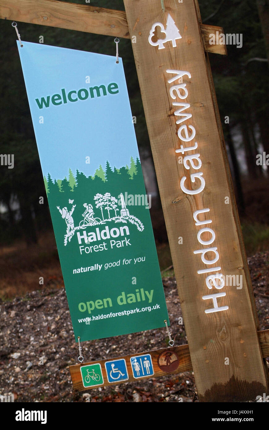 Haldon Forest Park Exeter Devonshire Uk Stock Photo 140733181