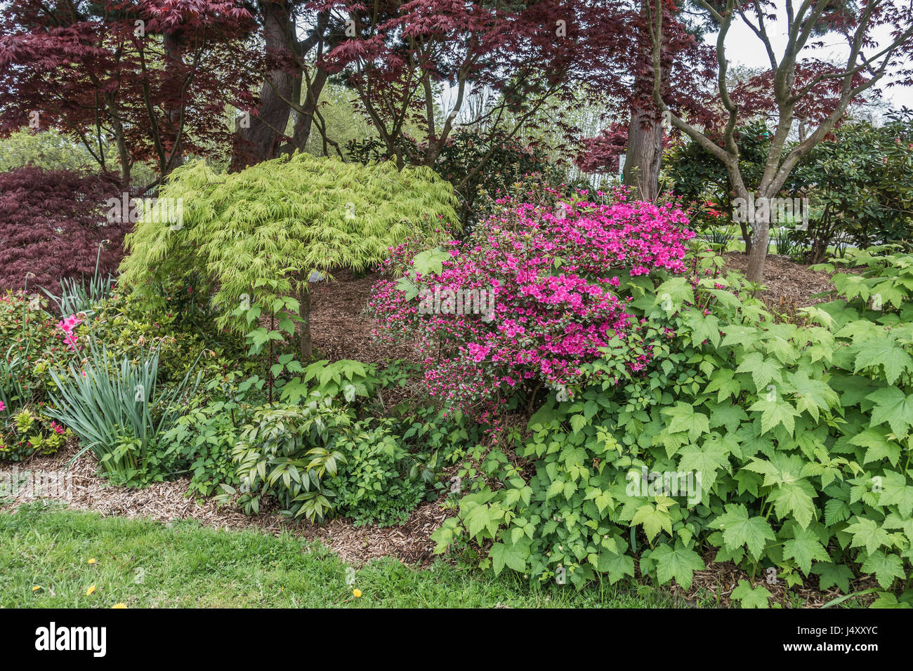A veiw of trees and flowers at Hamilton Viewpoint Park in West Seattle