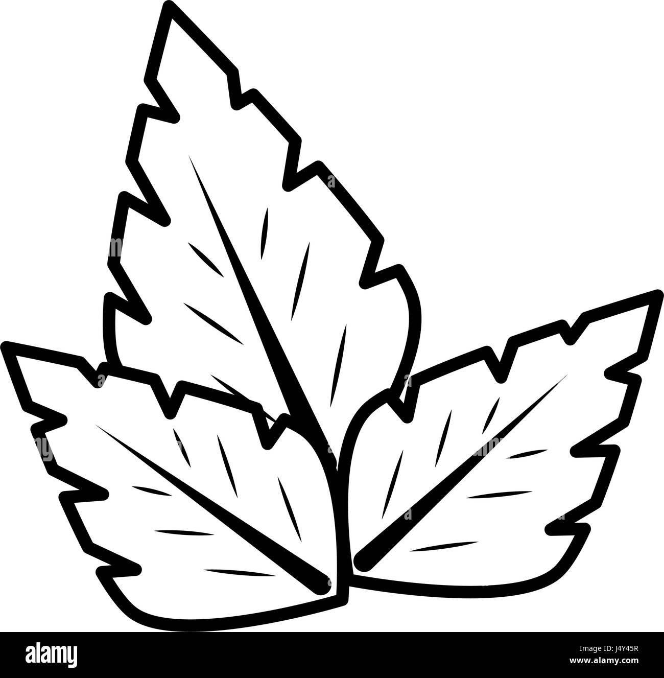 leaves icon image Stock Vector Image & Art - Alamy