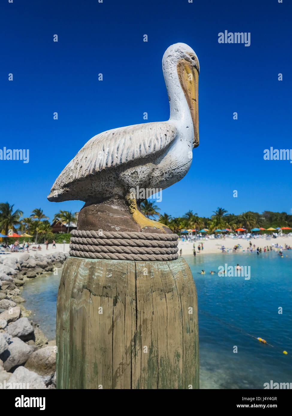 A pelican statue by the beach and ocean Stock Photo Alamy