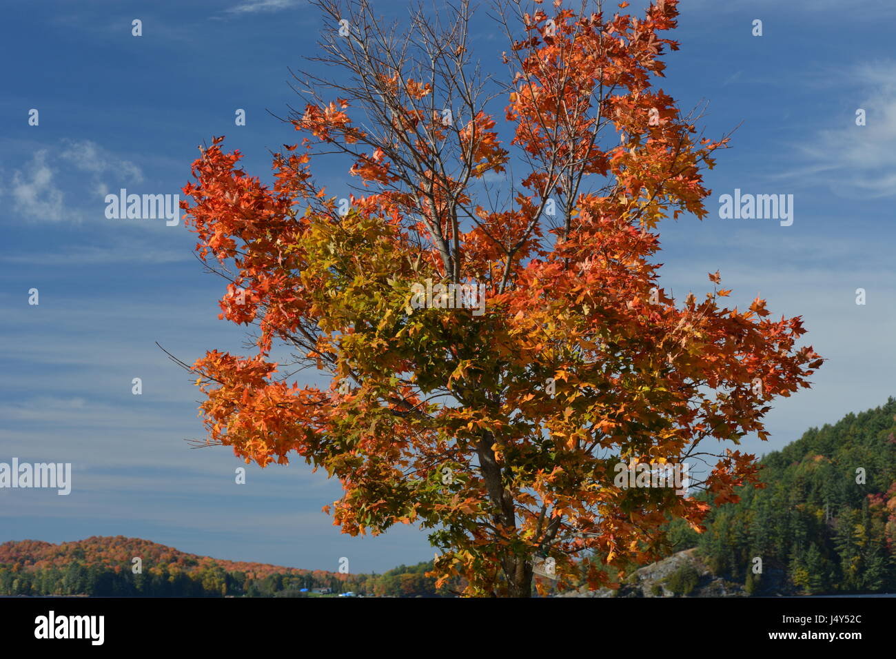 Fall in Muskoka Stock Photo - Alamy