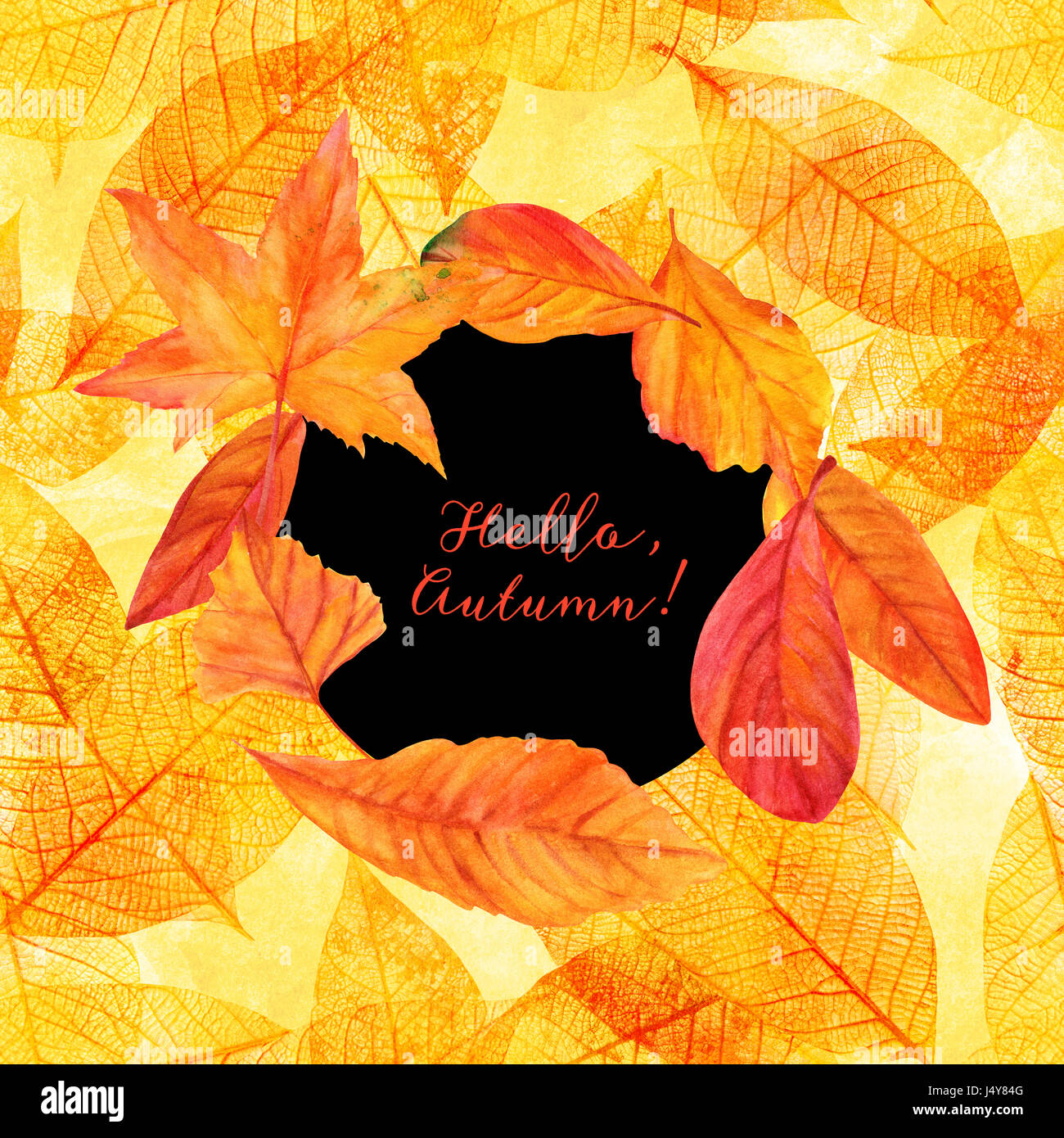 Hello, Autumn design with vibrant fall leaves, yellow and orange. An ...