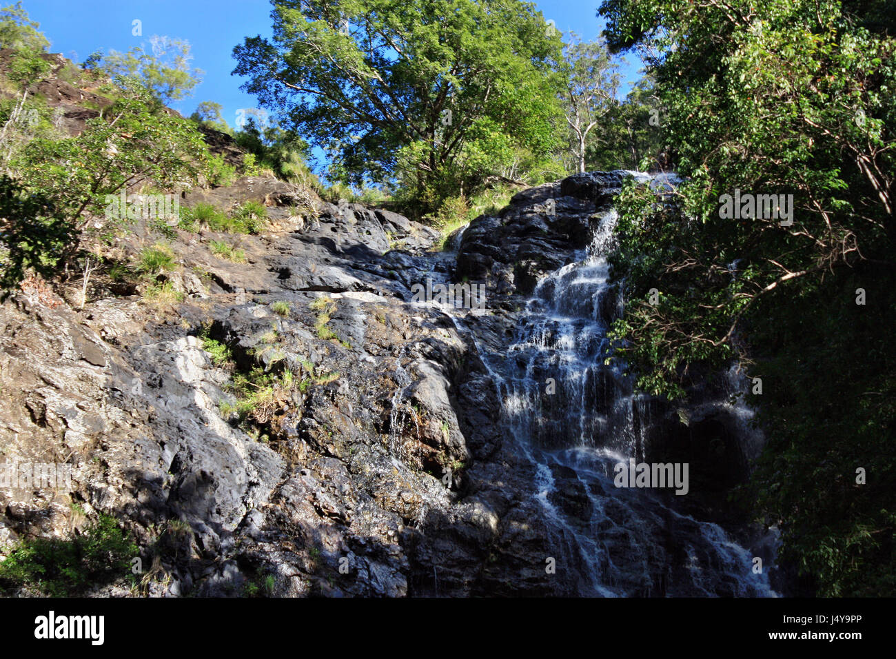 Waterfall in Kondalilla National Park near Montville, Sunshine Coast, Queensland Stock Photo