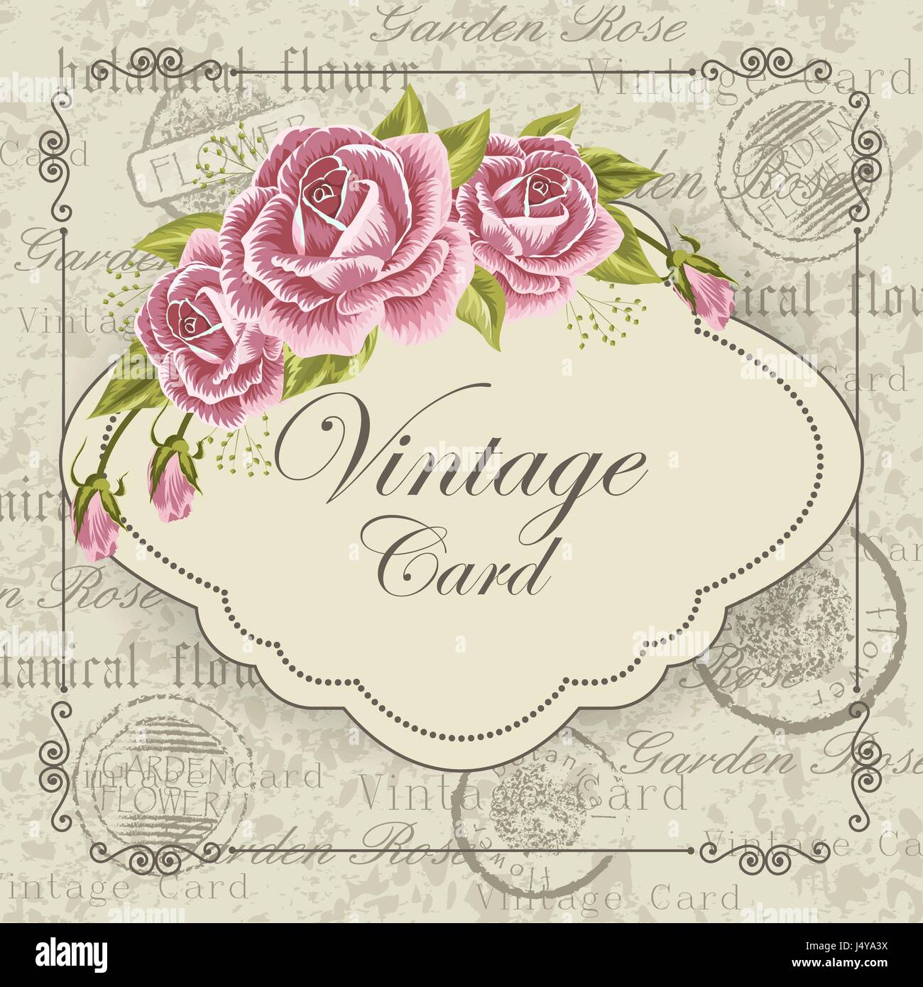 Vintage card with flowers Stock Vector Image & Art - Alamy