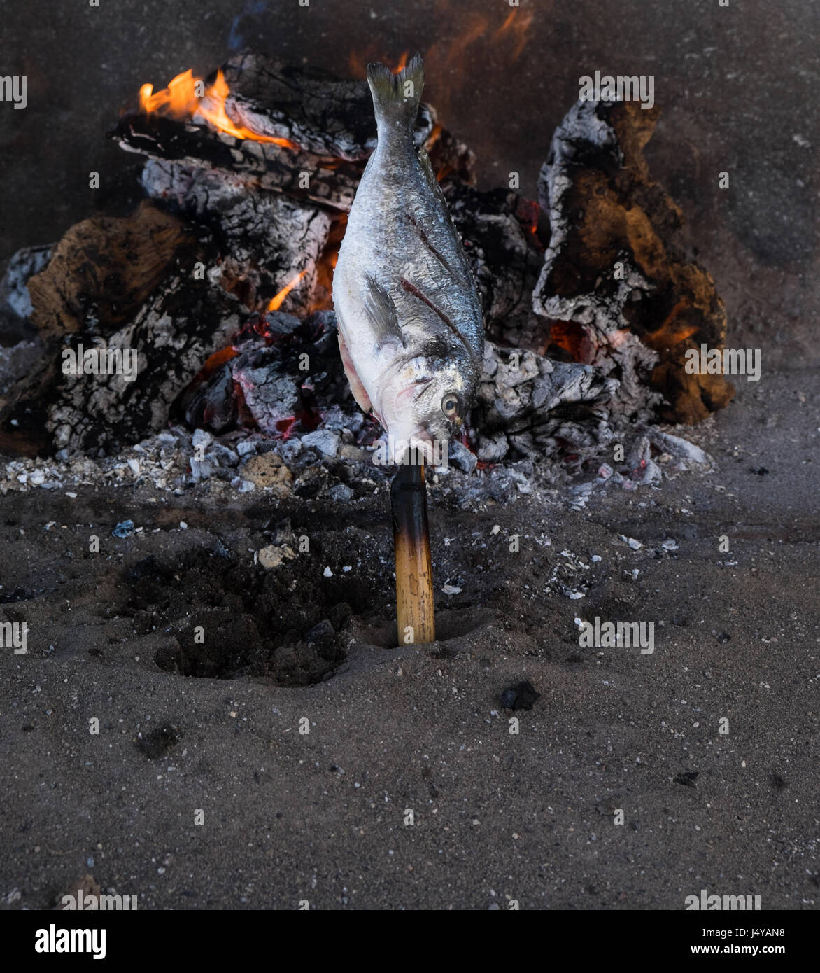 Sherry fish hi-res stock photography and images - Alamy