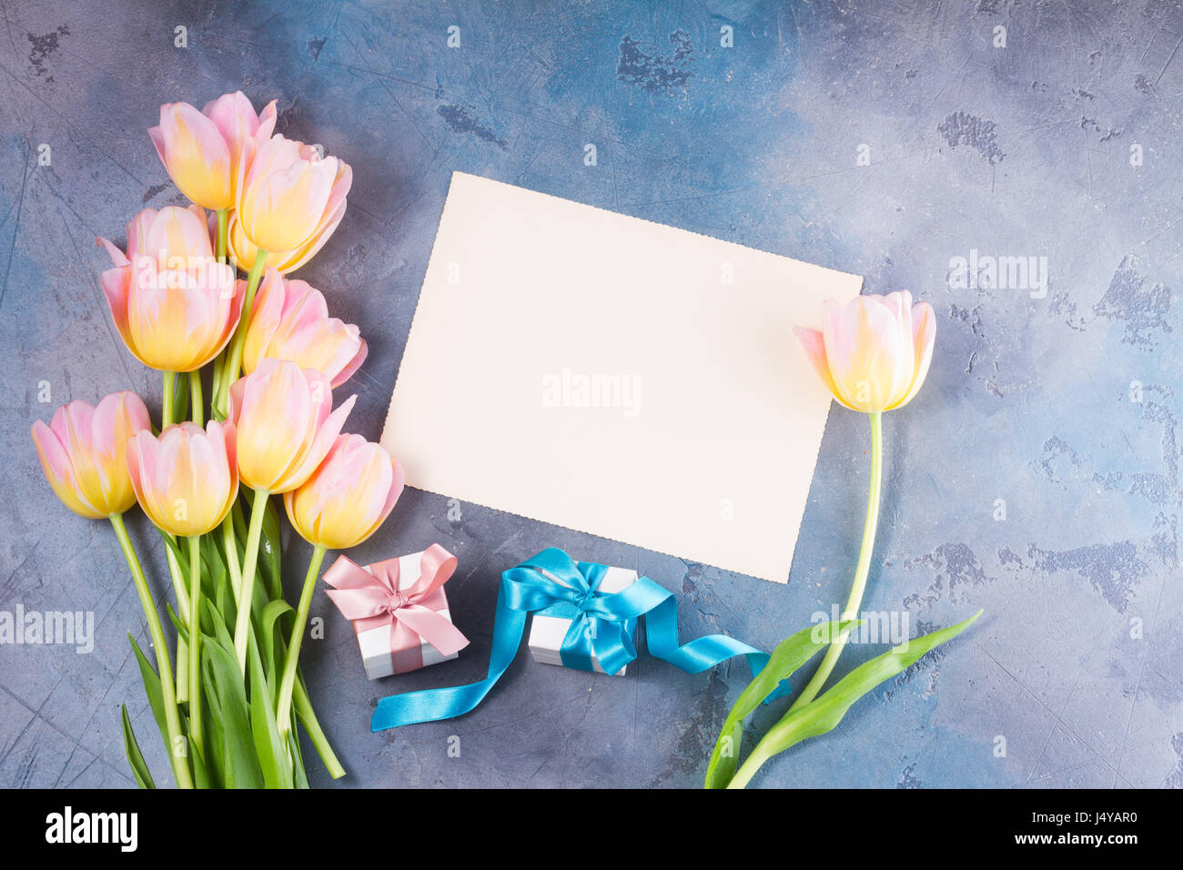 Pink and yellow tulips with gift boxes and blank paper note on gray ...